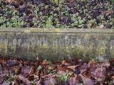 image of grave number 795292